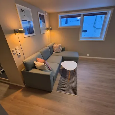 Near Center With Northern Lights View Apartament